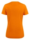 2264026-305_back — Dos — Texet fabricant